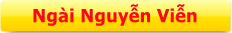 NGÀI NGUYỄN VIỆN