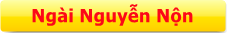 NGÀI NGUYỄN NỘN