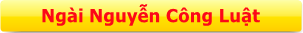 NGÀI NGUYỄN CÔNG LUẬT