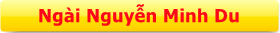 NGÀI NGUYỄN MINH DU