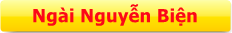 NGÀI NGUYỄN BIỆN